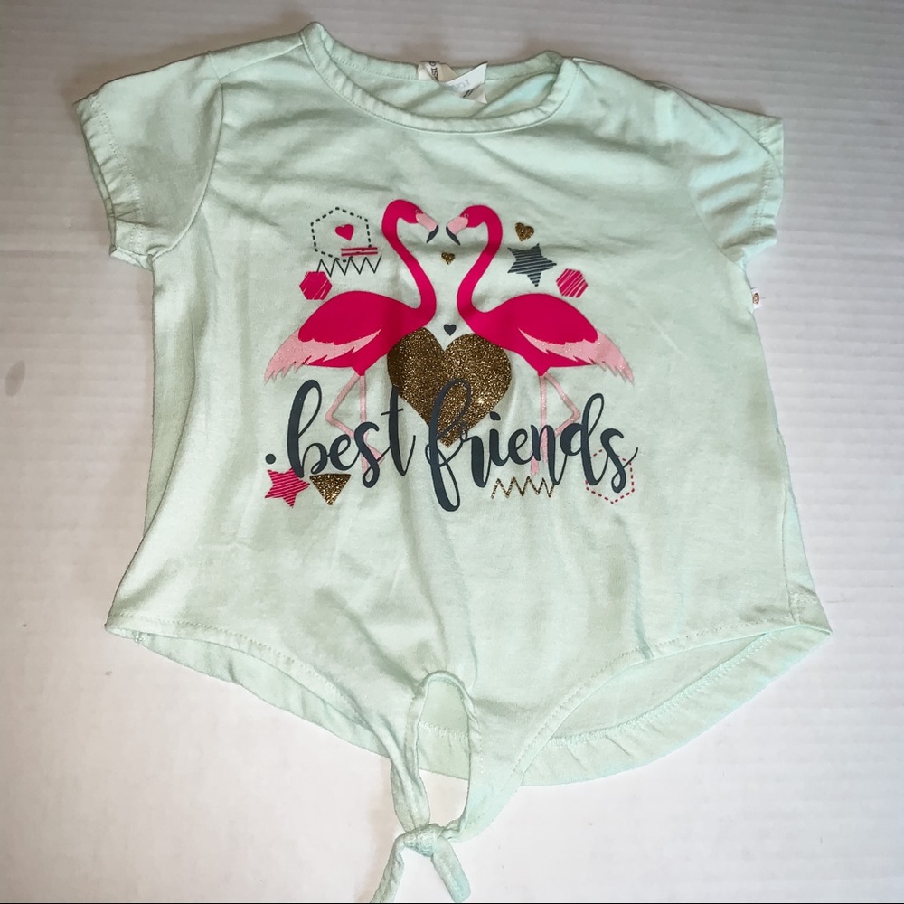 Girls Flamingo 🦩 Tee